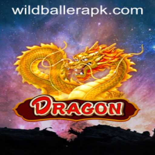 Explore the Thrilling World of Dragon at WildBaller Casino